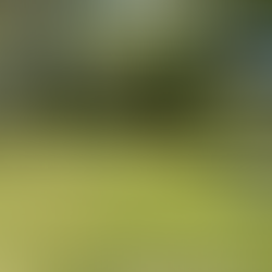 Chain Link Metal Fence Estimate