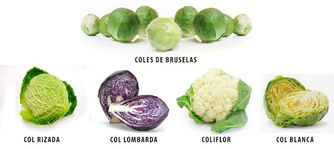 La influencia de la dieta en el cáncer