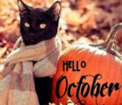 oct 25 cat pic_edited.jpg