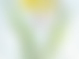 FEATURED NATURALIST INTERVIEW:                                     JACK GREENE