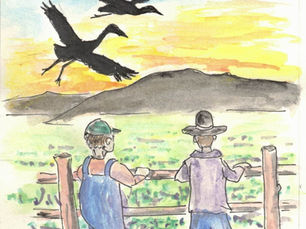 Anonymous  RURAL VOICES 