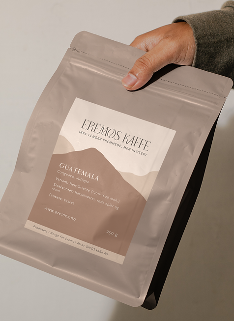 mockup kaffi.png