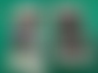 iPhone6sPlus 液晶交換修理