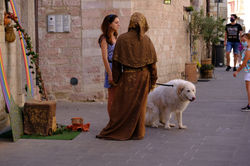 foto di Giovanni Franco