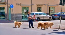 foto di Giovanni Franco