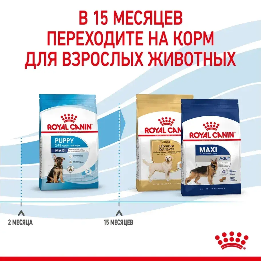 Миниатюра: Royal Canin Maxi Puppy