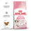 Миниатюра: Royal Canin Kitten