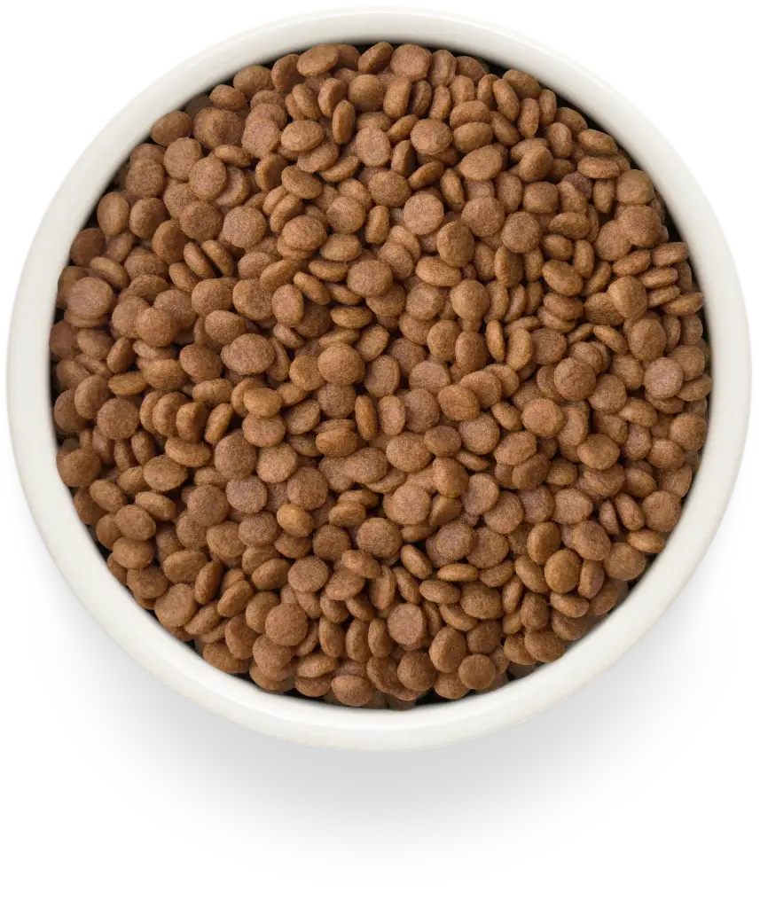 Grandorf Fresh Duck Adult Cat