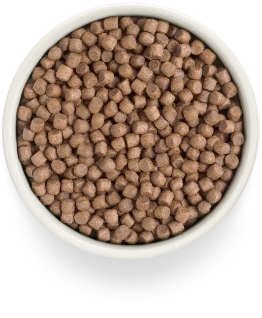 Миниатюра: GRANDORF Fresh Turkey Adult Mini