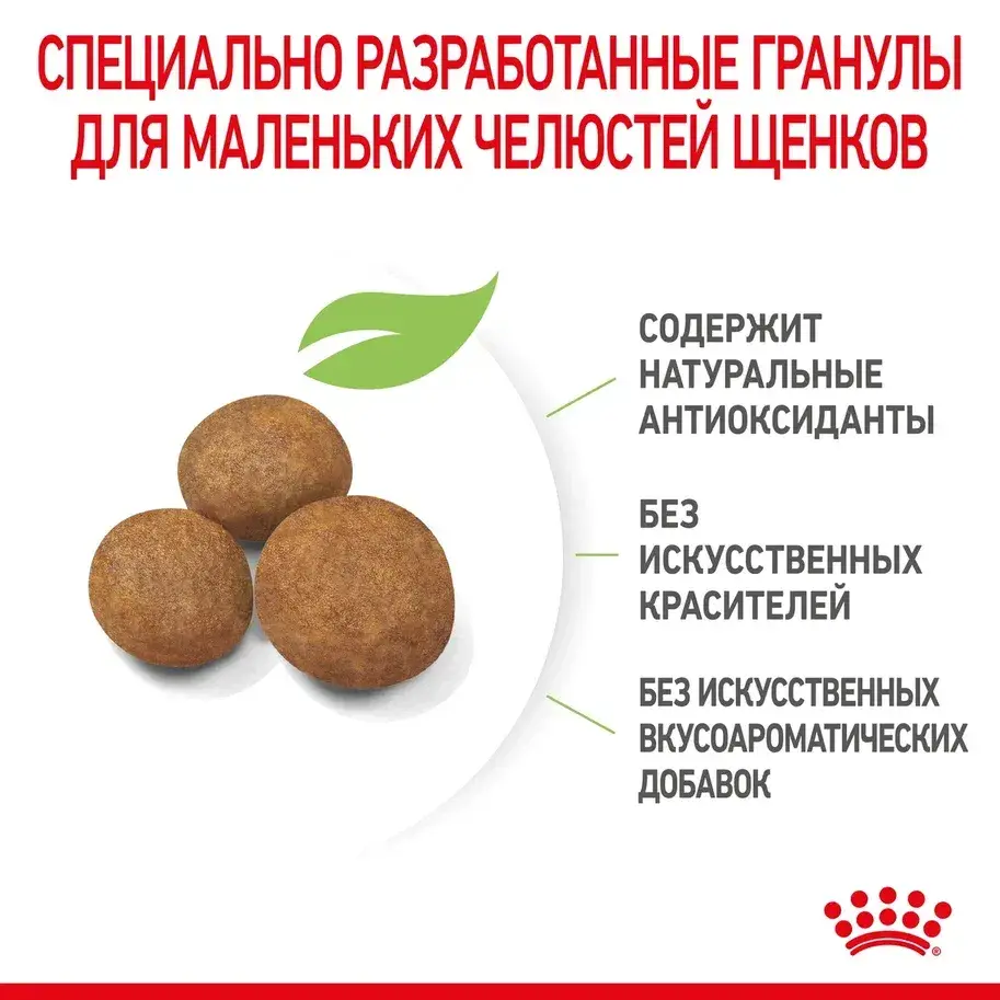 Миниатюра: Royal Canin Maxi Puppy
