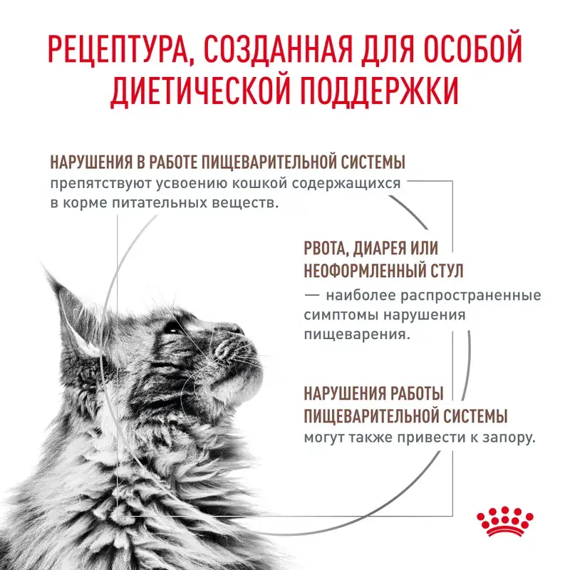 Миниатюра: Таблица состава и питательных веществ корма Royal Canin Fibre Response для кошек