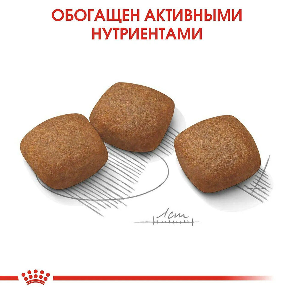 Миниатюра: роял канин