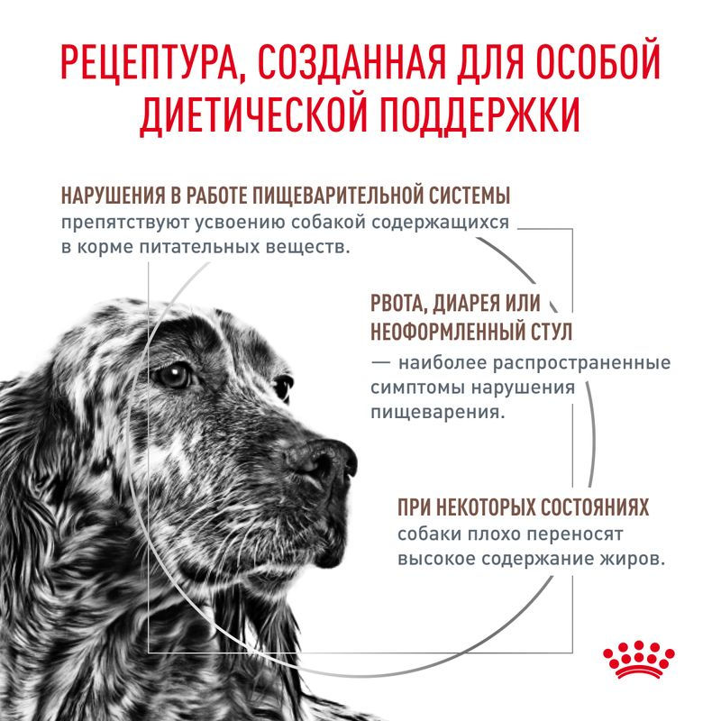 Миниатюра: ROYAL CANIN GASTRO INTESTINAL LOW FAT DOG 1,5KG