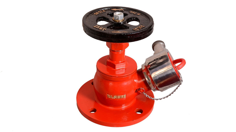 Landing Valve (IS 5290 Type A/B)