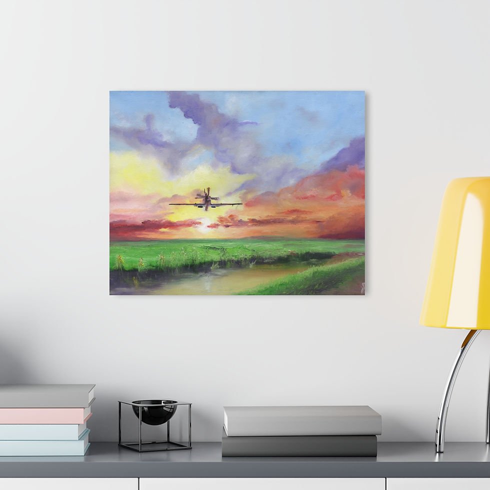 Thumbnail: Sunset Airplane Canvas Print 