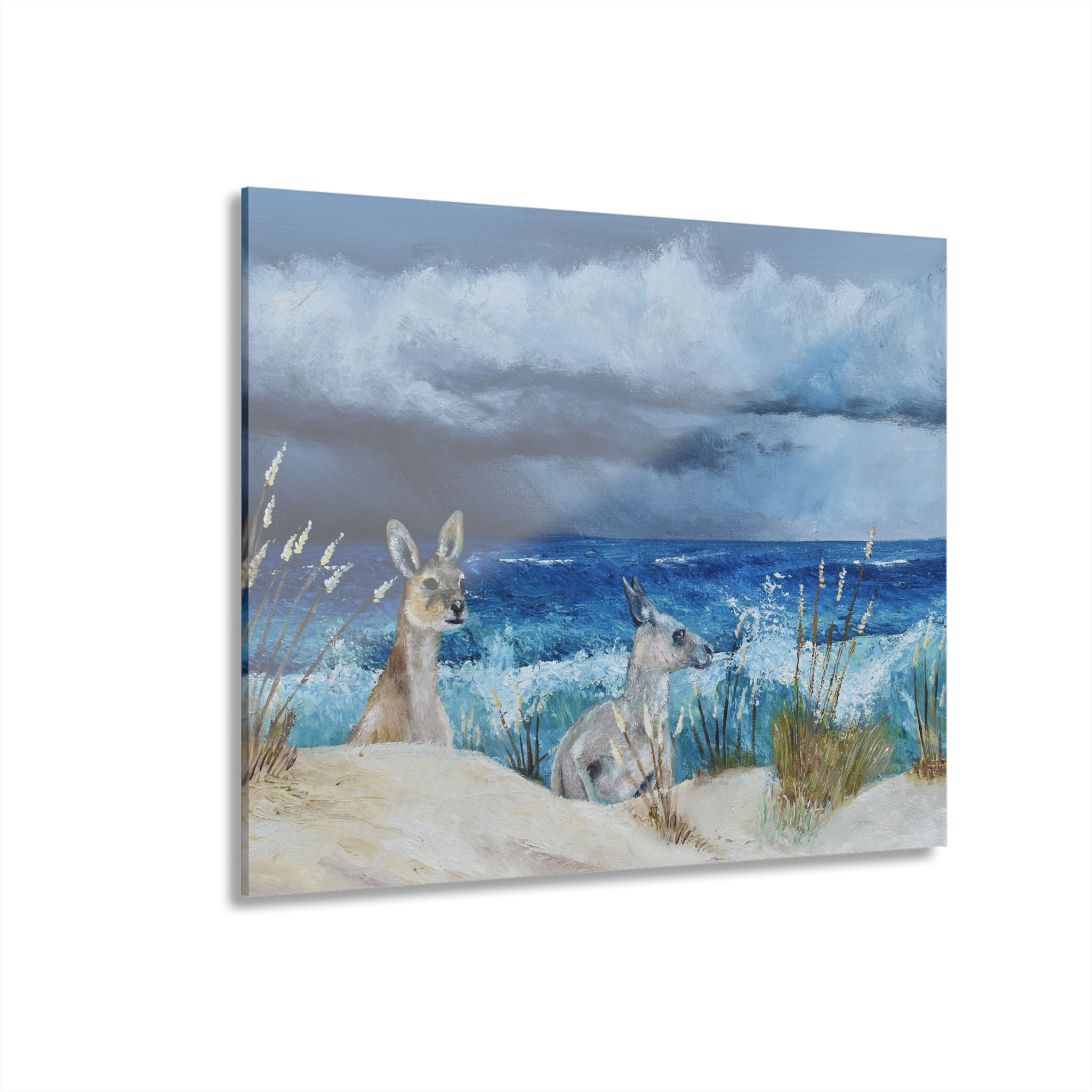 Roos by the Sea Canvas Print
