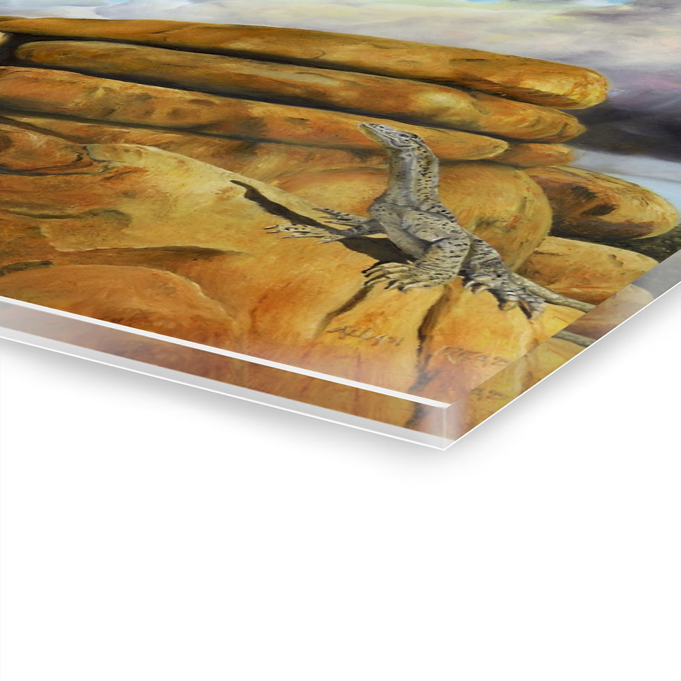 Thumbnail: Pink Galah Landscape Canvas Print 