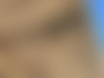 Gutter Cleaning in Victoria