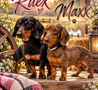 Rustic Dachshund Duo_ Ruex and Maxx.png