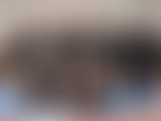 Heróica Puebla hace su PRIMERA aparición pública