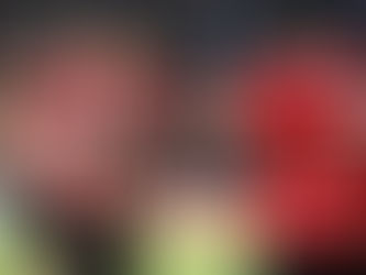 PSV y Lozano enrachados
