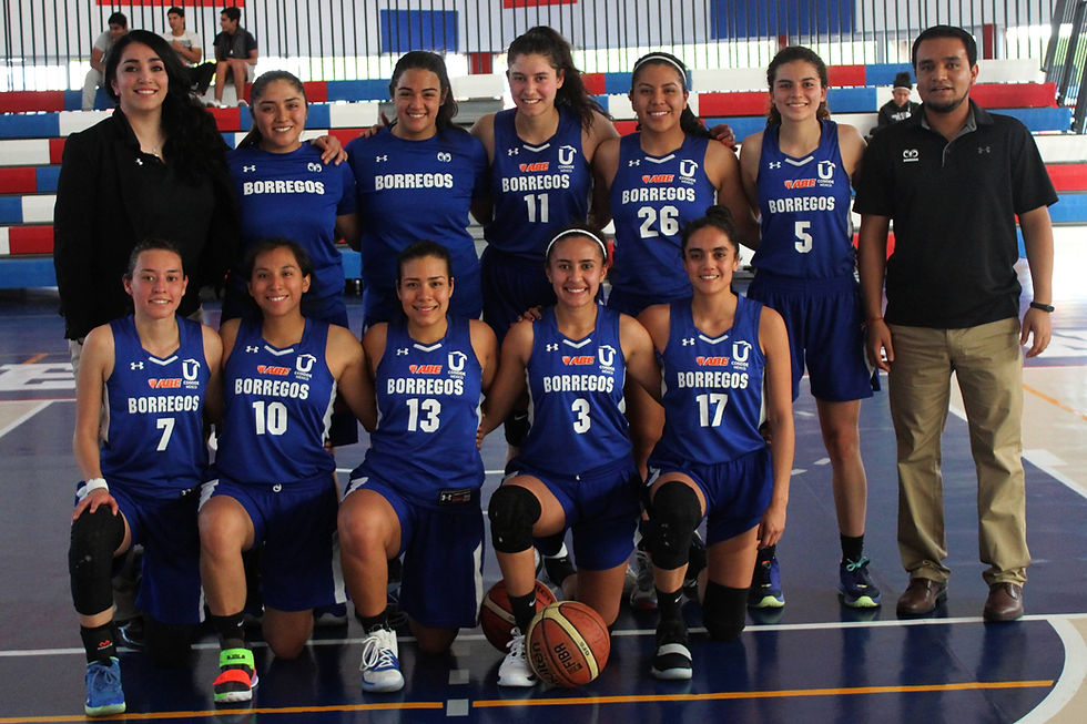 Liga ABE | Borregas Toluca | Baloncesto | Femenil