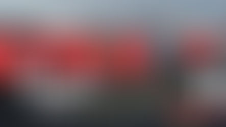 Rotax Festival 2023 - 14 Days To Go!