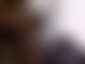 แมวพันธุ์เมนคูน อาหาร วิธีเลี้ยง นิสัย [พร้อมราคา] - Yora