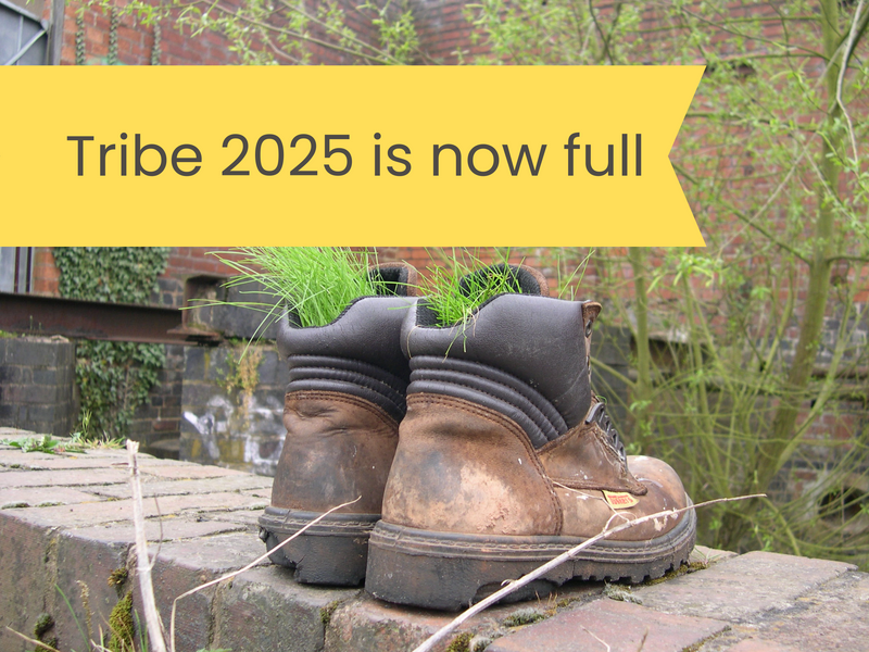 Grass growing in a pair of old brown work boots. Boots are standing in a brick wall with graffiti