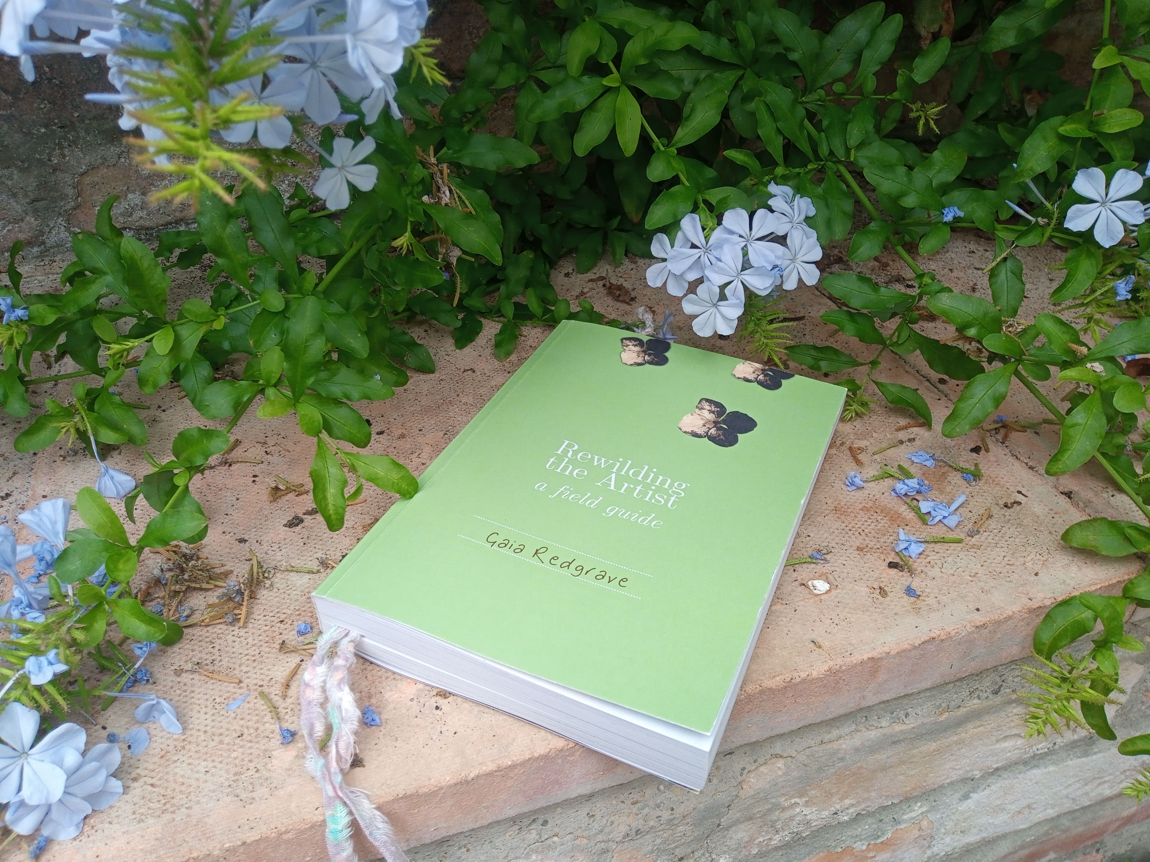 Rewilding the Artist: a field guide