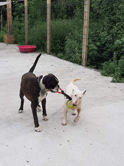 FB_IMG_1634216157955