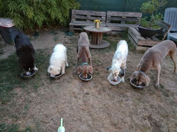 FB_IMG_1634550270380