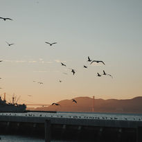 san francisco | californie | roadtrip usa | coucher de soleil | photographie | voyage | 