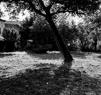 La casa dei genitori