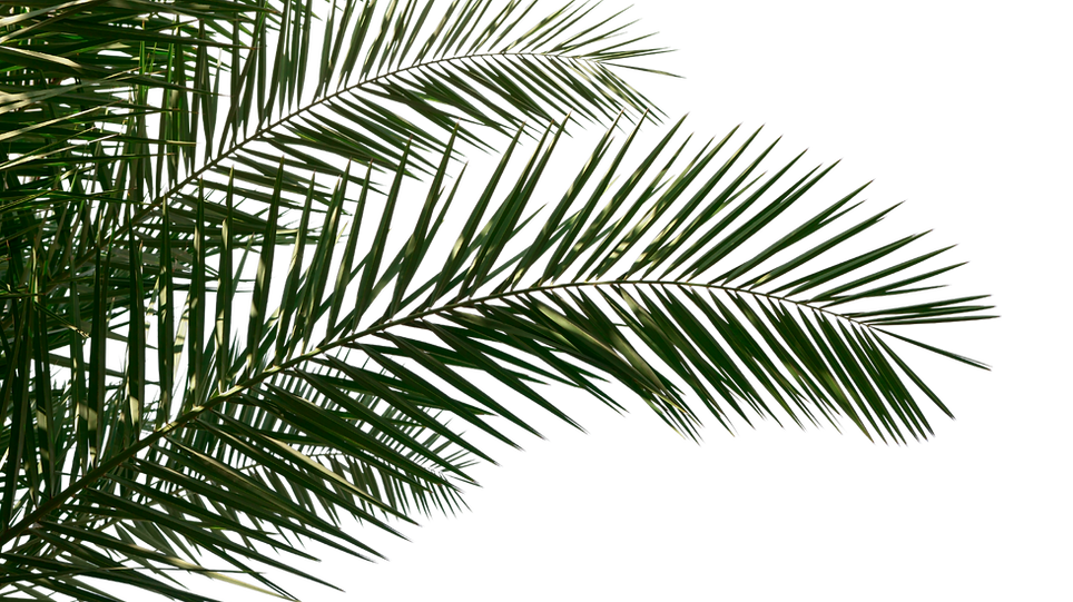 Título (6)_edited.png