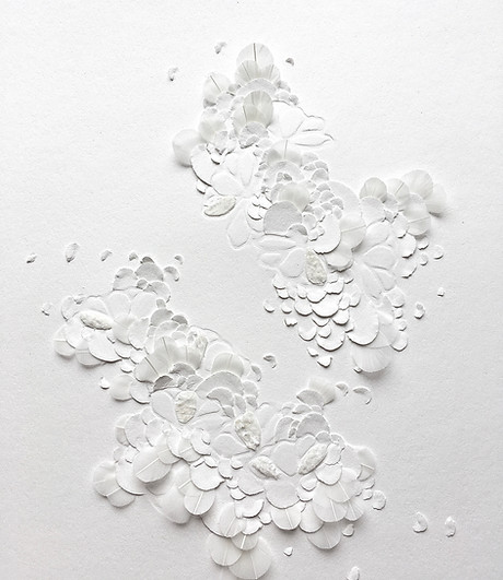 Papier plumes 2.24;5X2.jpg