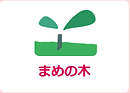 まめの木.png