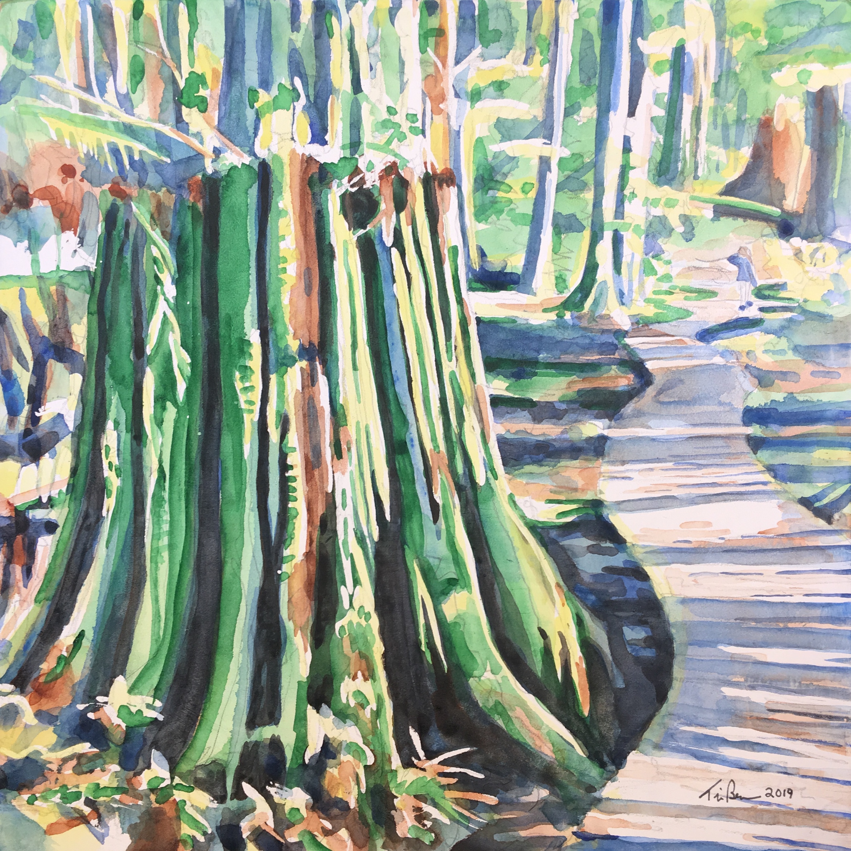 Blueridge Boardwalk