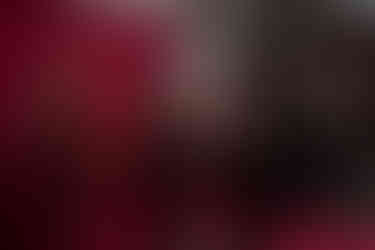 Former Critics - Group Shot