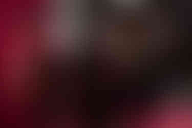 Former Critics - Group Shot