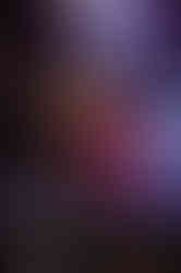 All American Rejects