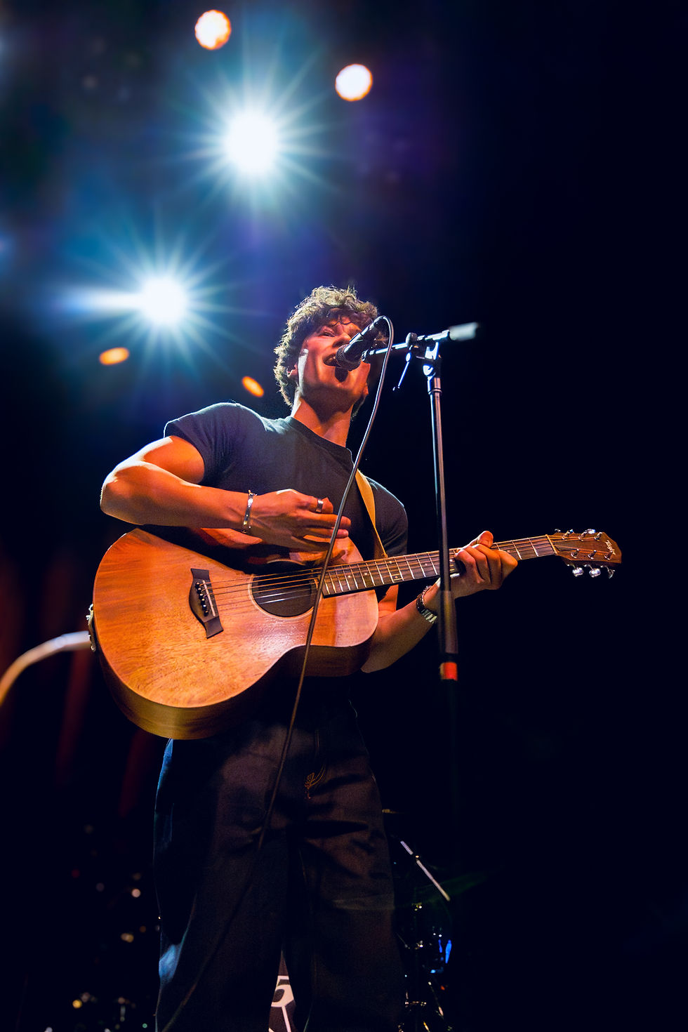 Musician passionately sings and plays acoustic guitar on stage. Bright spotlights shine overhead, creating a lively concert atmosphere.