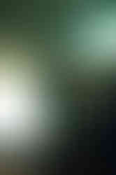 Cartel in concert in Detroit, MI