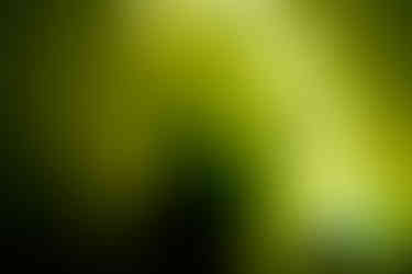 TheFuneralPortraitandTheUsed-65