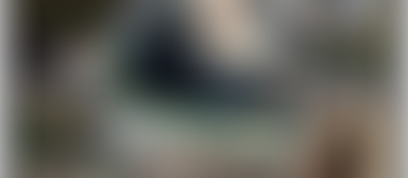 MoJo’s Visit to a Slice of Africa