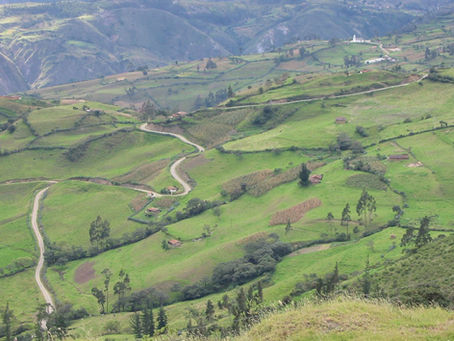 Peruvian Politics