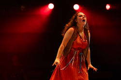 SR Taylor Photography