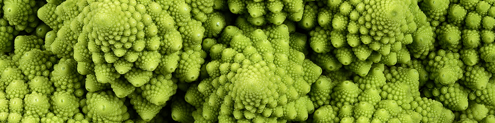 Untitled (New LinkedIn Banner).png