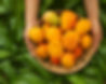 AdobeStock_240311486_edited.jpg
