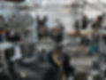 IMG_5959.jpeg